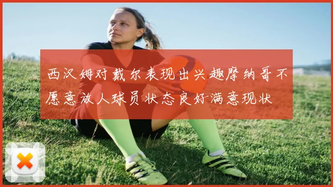 西汉姆对戴尔表现出兴趣摩纳哥不愿意放人球员状态良好满意现状