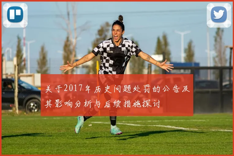 关于2017年历史问题处罚的公告及其影响分析与后续措施探讨