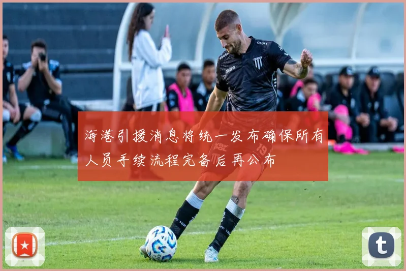 海港引援消息将统一发布确保所有人员手续流程完备后再公布