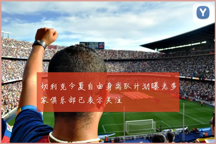 切利克今夏自由身离队计划曝光多家俱乐部已表示关注