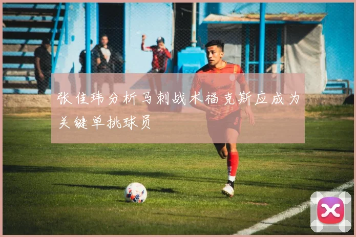 张佳玮分析马刺战术福克斯应成为关键单挑球员