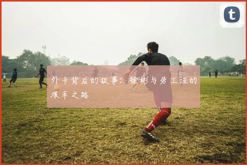 外卡背后的故事：徐彬与劳工证的艰辛之路