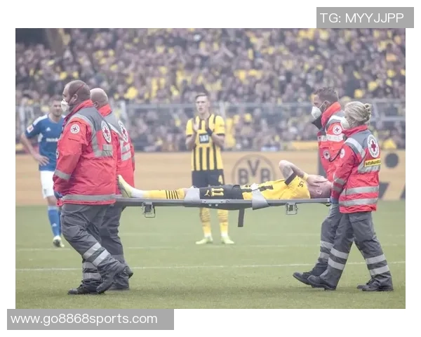 多特蒙德向球迷致敬免费赠送罗伊斯印号主场球衣活动启动