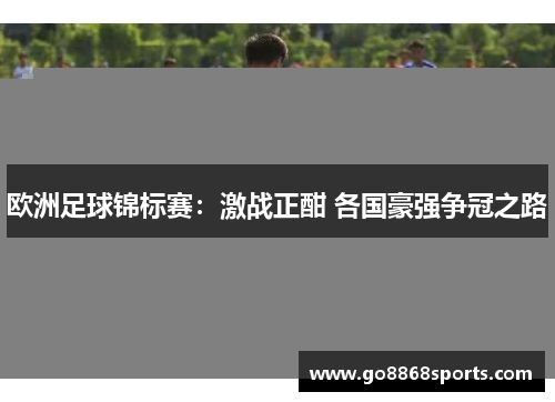 欧洲足球锦标赛：激战正酣 各国豪强争冠之路