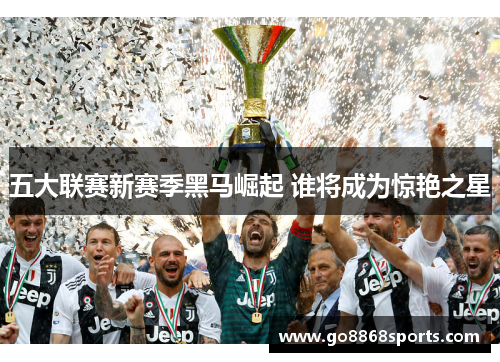 五大联赛新赛季黑马崛起 谁将成为惊艳之星