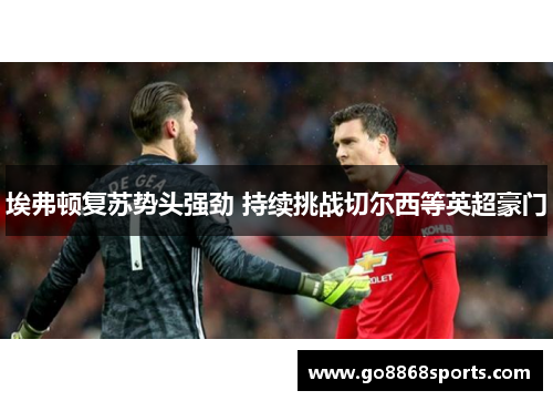 埃弗顿复苏势头强劲 持续挑战切尔西等英超豪门
